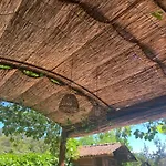 Jolie Annexe Du Mas Dans Le Coeur De La Garrigue Nimoise Feriehus